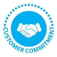Customer Commitment Icon